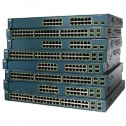 GROUP-211758.jpg