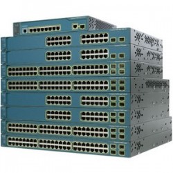 GROUP-211813.jpg
