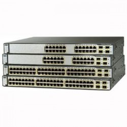 GROUP-211987.jpg