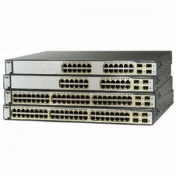 GROUP-211990.jpg