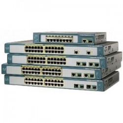 GROUP-212809.jpg